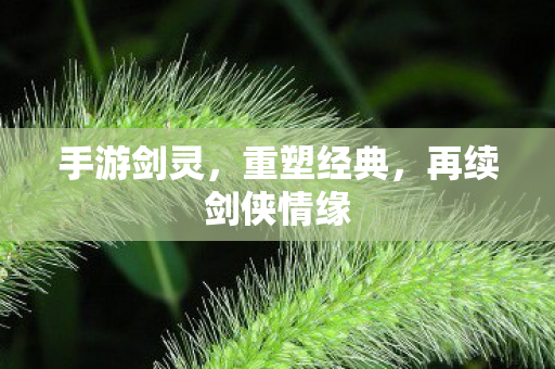 再续剑侠情缘图片