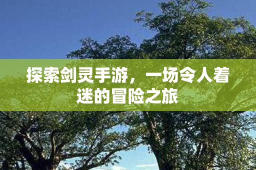 一场令人着迷的冒险之旅图片