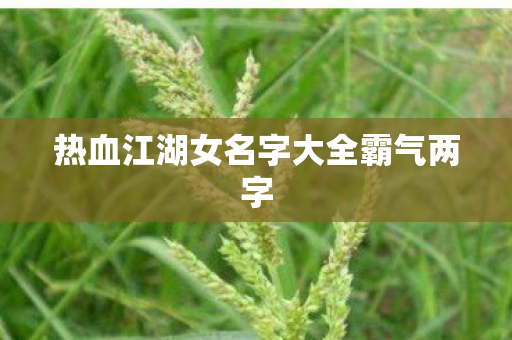 热血江湖女名字大全霸气两字图片