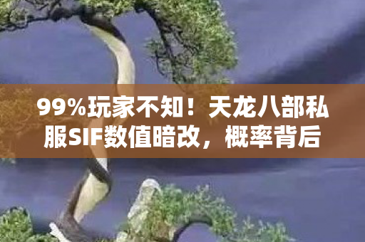 天龙八部私服SIF数值暗改图片
