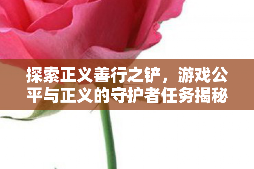 游戏公平与正义的守护者任务揭秘图片