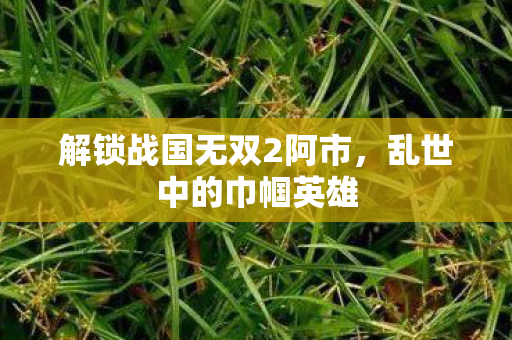 解锁战国无双2阿市图片