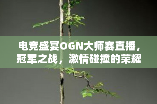 电竞盛宴OGN大师赛直播图片