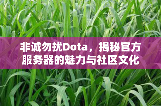 揭秘官方服务器的魅力与社区文化图片