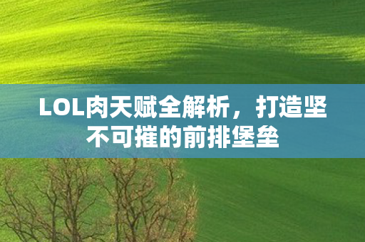 打造坚不可摧的前排堡垒图片