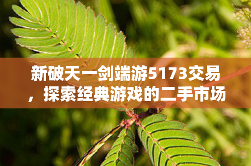 新破天一剑端游5173交易图片
