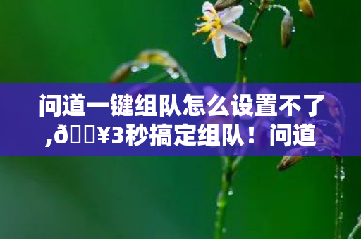 问道一键组队怎么设置不了,🔥3秒搞定组队!问道一键组队新体验,爽到飞起! 问道一键组队怎么设置不了,🔥3秒搞定组队!问道一键组队新体验,爽到飞起!