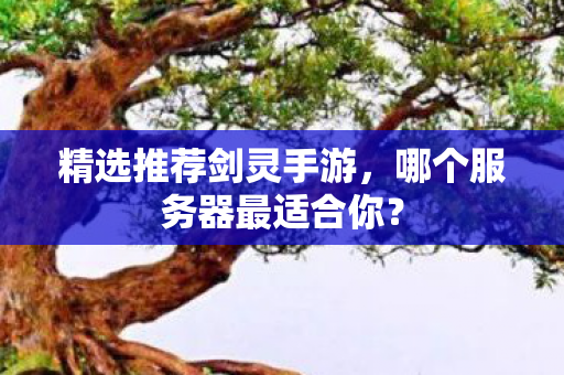 哪个服务器最适合你图片
