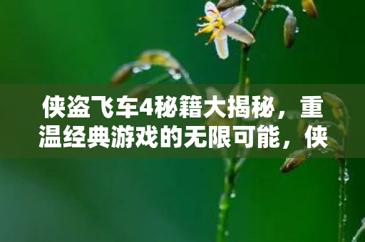 重温经典游戏的无限可能图片