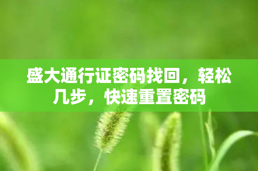 盛大通行证密码找回图片