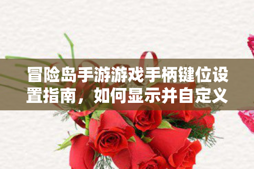冒险岛手游游戏手柄键位设置指南图片
