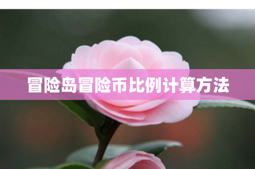 冒险岛冒险币比例计算方法图片