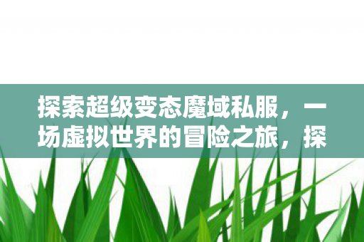 一场虚拟世界的冒险之旅图片