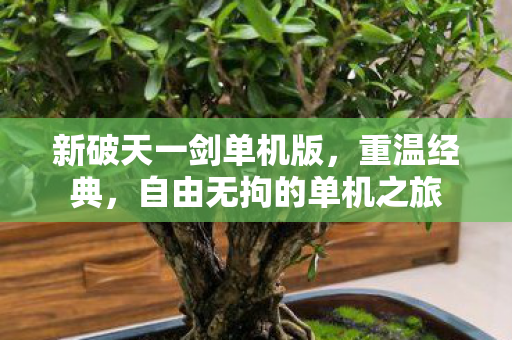 自由无拘的单机之旅图片