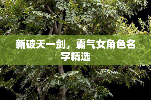 霸气女角色名字精选图片
