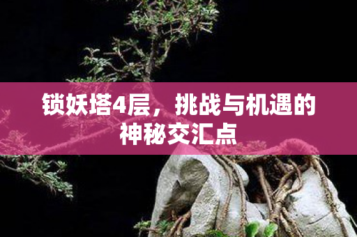 挑战与机遇的神秘交汇点图片