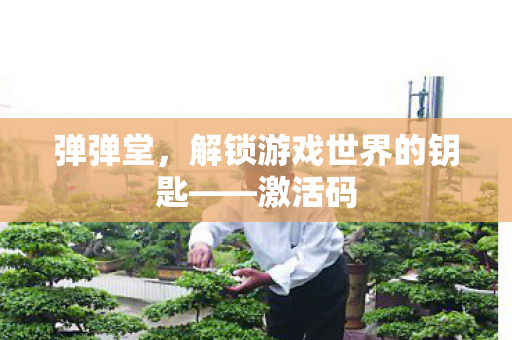 解锁游戏世界的钥匙图片