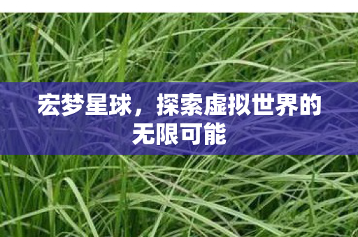 探索虚拟世界的无限可能图片