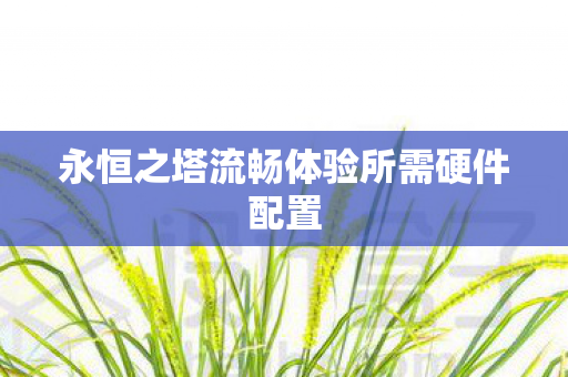 永恒之塔流畅体验所需硬件配置图片