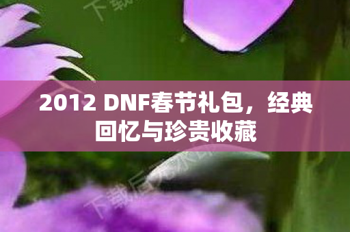 2012 DNF春节礼包图片