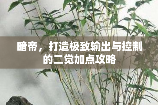 打造极致输出与控制的二觉加点攻略图片