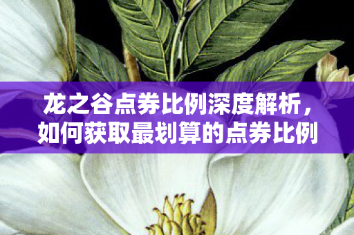 如何获取最划算的点券比例图片