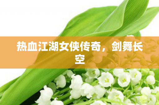 热血江湖女侠传奇图片