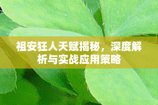 深度解析与实战应用策略图片