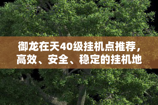 御龙在天40级挂机点推荐图片