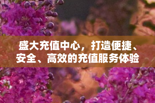 盛大充值中心,打造便捷、安全、高效的充值服务体验 盛大充值中心,打造便捷、安全、高效的充值服务体验