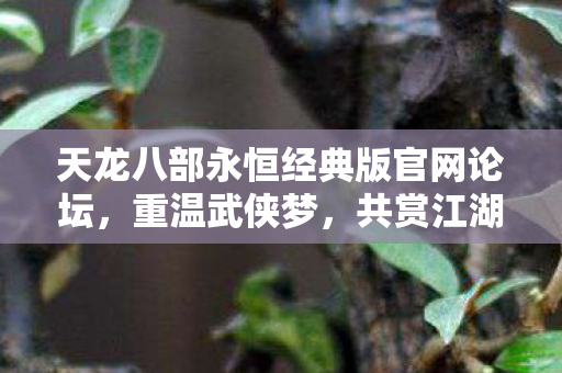 天龙八部永恒经典版官网论坛图片