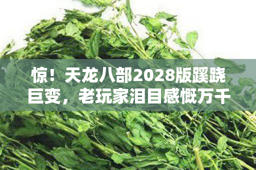 惊!天龙八部2028版蹊跷巨变,老玩家泪目感慨万千 惊!天龙八部2028版蹊跷巨变,老玩家泪目感慨万千