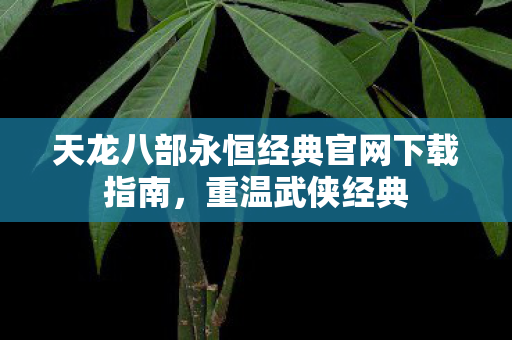 天龙八部永恒经典官网下载指南图片