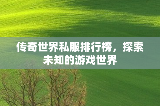 传奇世界私服排行榜图片