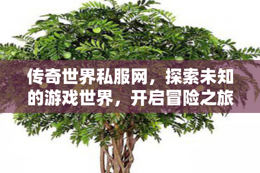 探索未知的游戏世界图片