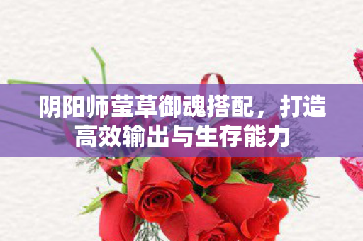打造高效输出与生存能力图片