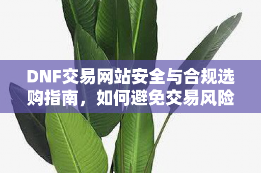 DNF交易网站安全与合规选购指南图片