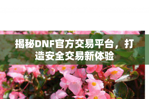 揭秘DNF官方交易平台图片