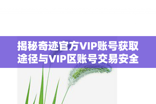 揭秘奇迹官方VIP账号获取途径与VIP区账号交易安全解析图片