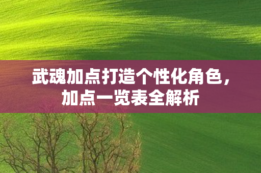 武魂加点打造个性化角色图片