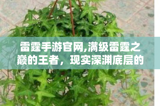 满级雷霆之巅的王者图片