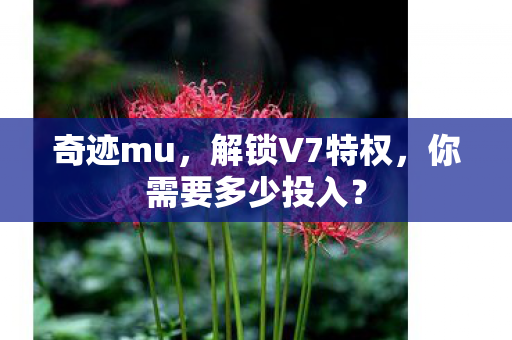 你需要多少投入图片