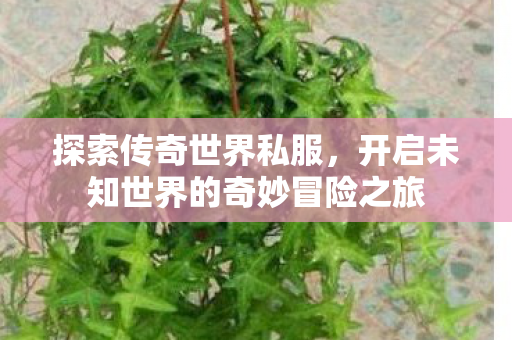 开启未知世界的奇妙冒险之旅图片