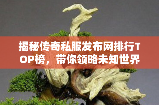 揭秘传奇私服发布网排行TOP榜图片