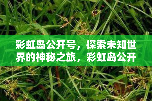 开启探索未知世界的神秘之旅图片