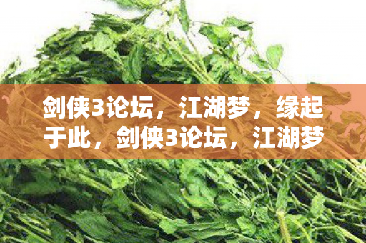剑侠3论坛,江湖梦,缘起于此,剑侠3论坛,江湖梦,缘起于此 剑侠3论坛,江湖梦,缘起于此,剑侠3论坛,江湖梦,缘起于此