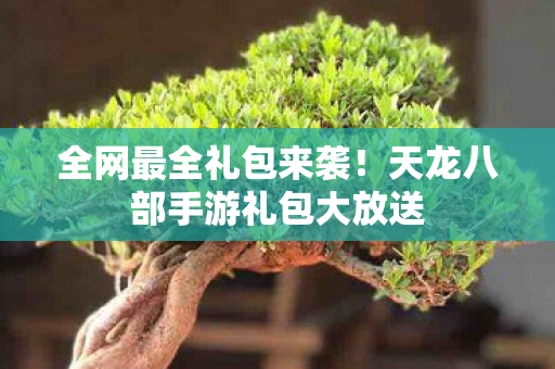 天龙八部手游礼包大放送图片