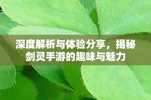 揭秘剑灵手游的趣味与魅力图片