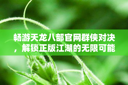 畅游天龙八部官网群侠对决图片