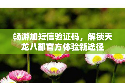 解锁天龙八部官方体验新途径图片